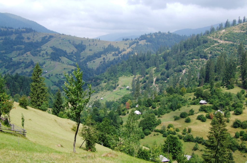 polonina nad Strihalnou